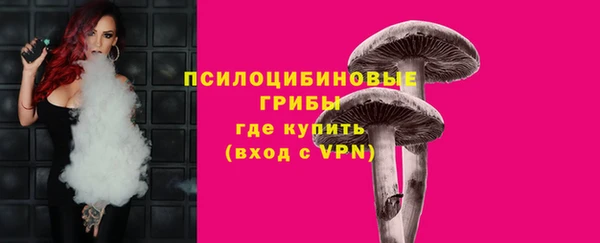 первитин Армянск