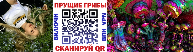 магазин Зуевка Псилоцибиновые грибы мухоморы